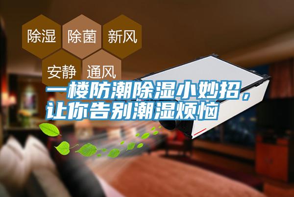一樓防潮除濕小妙招，讓你告別潮濕煩惱