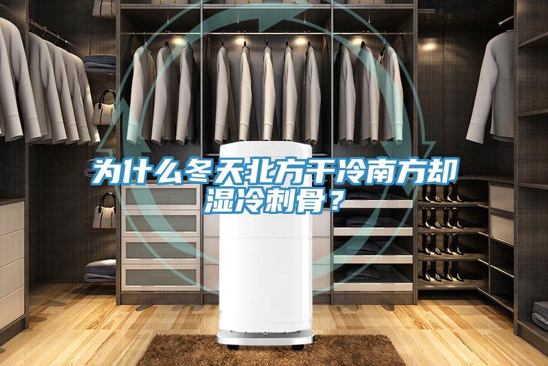為什么冬天北方干冷南方卻濕冷刺骨？