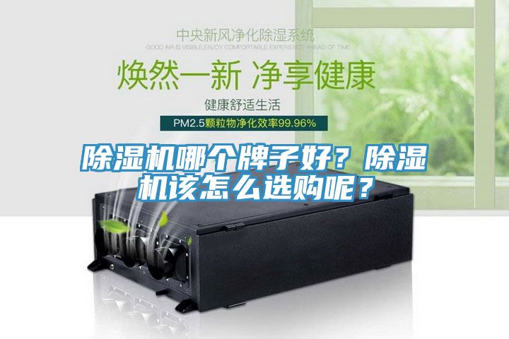 除濕機哪個牌子好?除濕機該怎么選購呢?