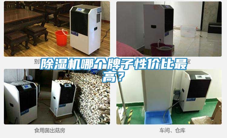 除濕機哪個牌子性價比最高?