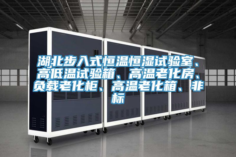 湖北步入式恒溫恒濕試驗室、高低溫試驗箱、高溫老化房、負載老化柜、高溫老化箱、非標