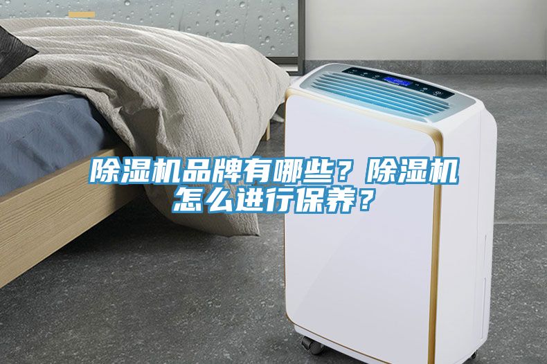 除濕機品牌有哪些?除濕機怎么進行保養?