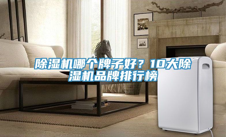 除濕機(jī)哪個牌子好？10大除濕機(jī)品牌排行榜