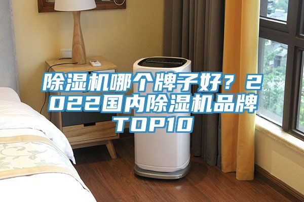 除濕機(jī)哪個牌子好？2022國內(nèi)除濕機(jī)品牌TOP10