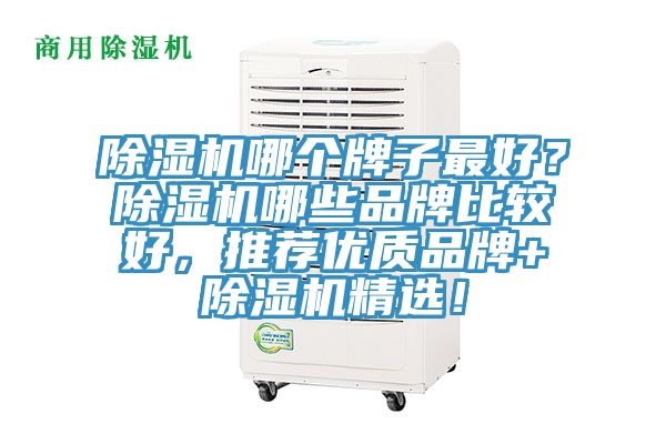 除濕機哪個牌子最好？除濕機哪些品牌比較好，推薦優質品牌+除濕機精選！