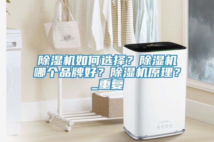 除濕機如何選擇?除濕機哪個品牌好?除濕機原理?_重復